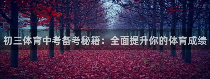 耀世平台主管代理是谁：初三体育中考备考秘籍：全面提升