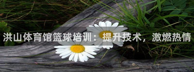 耀世平台理7O777：洪山体育馆篮球培训：提升技术，