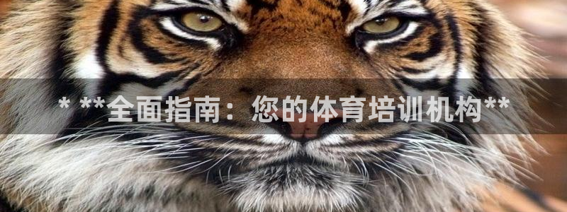 耀世平台精选 58534I 耀世：* **全面指南：