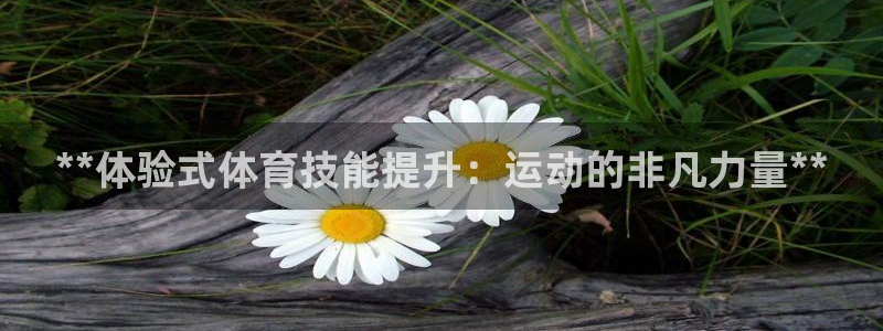 耀世集团视频直播怎么样：**体验式体育技能提升：运动