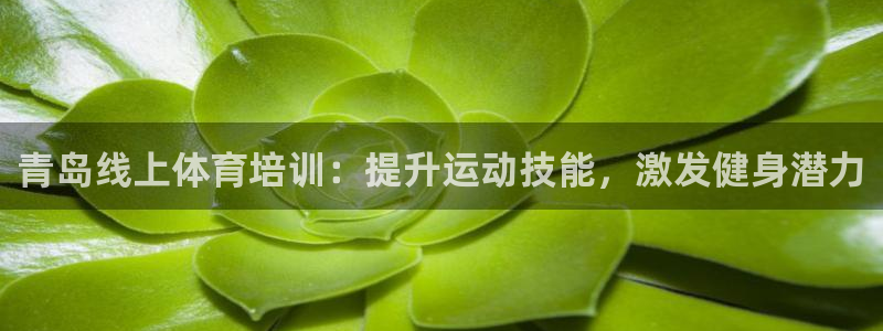 耀世娱乐如何登录平台账户：青岛线上体育培训：提升运动