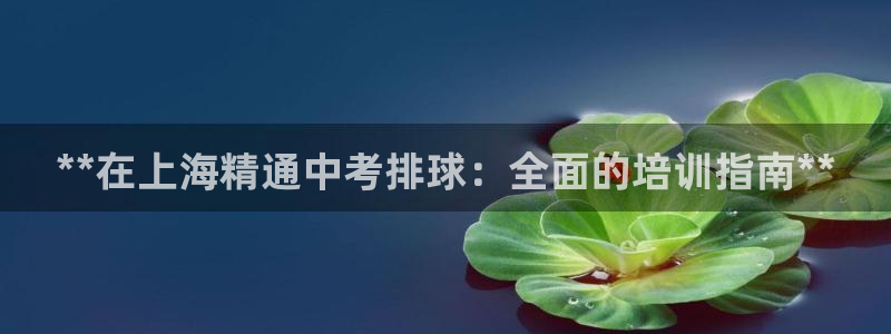 耀世平台注册流程图片：**在上海精通中考排球：全面的