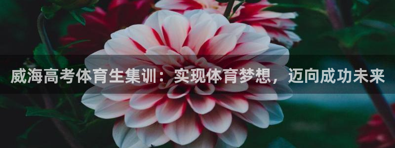 耀世平台登录地址：威海高考体育生集训：实现体育梦想，
