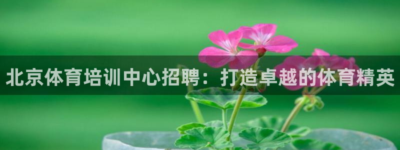 耀世娱乐辅助软件下载：北京体育培训中心招聘：打造卓越