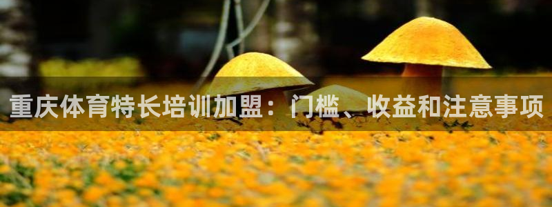 耀世娱乐骗局揭秘：重庆体育特长培训加盟：门槛、收益和