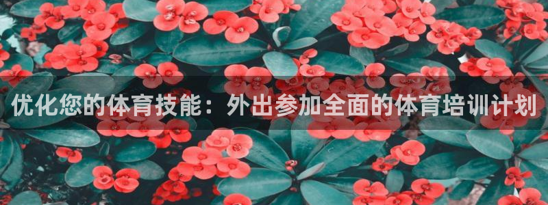 耀世平台负责人：优化您的体育技能：外出参加全面的体育