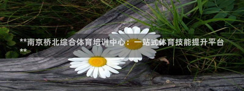 耀世平台注册链接：**南京桥北综合体育培训中心：一站
