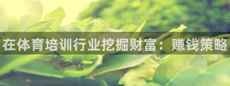 耀世娱乐返点：在体育培训行业挖掘财富：赚钱策略