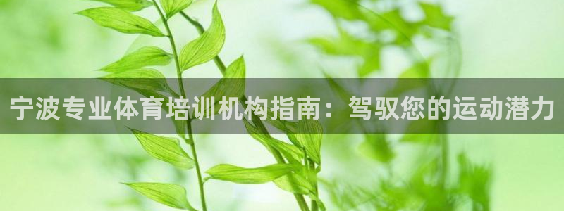 耀世平台开户怎么开：宁波专业体育培训机构指南：驾驭您