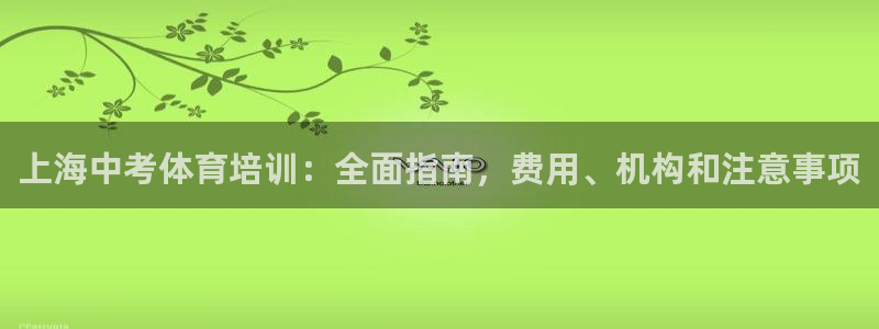 耀世雷霆下载：上海中考体育培训：全面指南，费用、机构