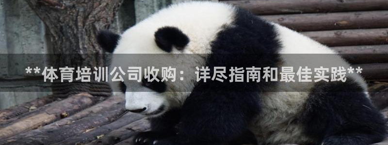 耀世平台最新注册地址是哪里：**体育培训公司收购：详