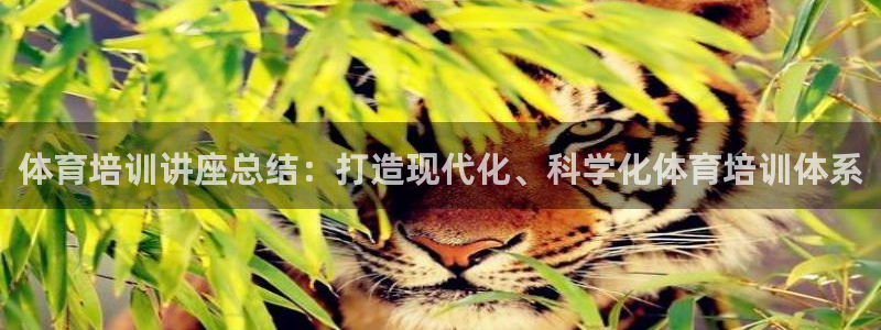 耀世平台注册网址查询：体育培训讲座总结：打造现代化、