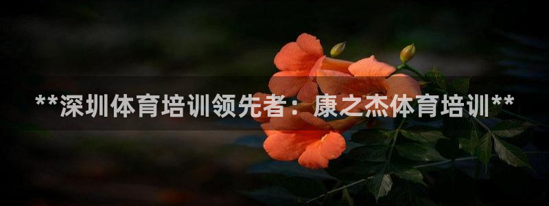 **深圳体育培训领先者：康之杰体育培训**
