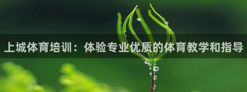 耀世平台代理怎么样可靠吗：上城体育培训：体验专业优质