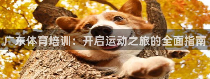 耀世娱乐登入：广东体育培训：开启运动之旅的全面指南