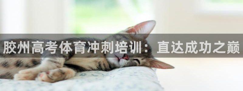 耀世国际集团：胶州高考体育冲刺培训：直达成功之巅