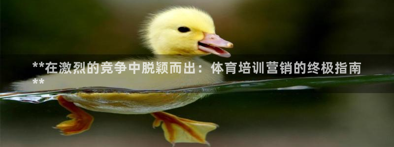 耀世娱乐官方网站：**在激烈的竞争中脱颖而出：体育培
