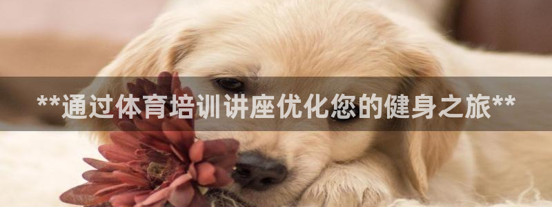 耀世娱乐的494o3 主管：**通过体育培训讲座优化