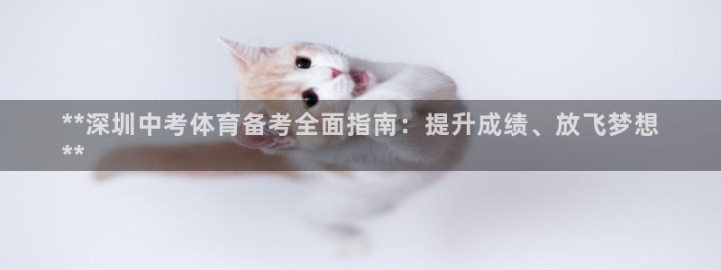 耀世平台实7O777：**深圳中考体育备考全面指南：