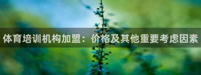 耀世是什么意思：体育培训机构加盟：价格及其他重要考虑
