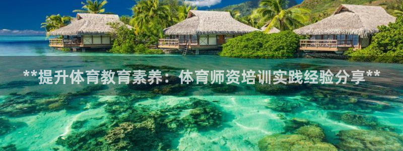 耀世娱乐挂机脚本：**提升体育教育素养：体育师资培训