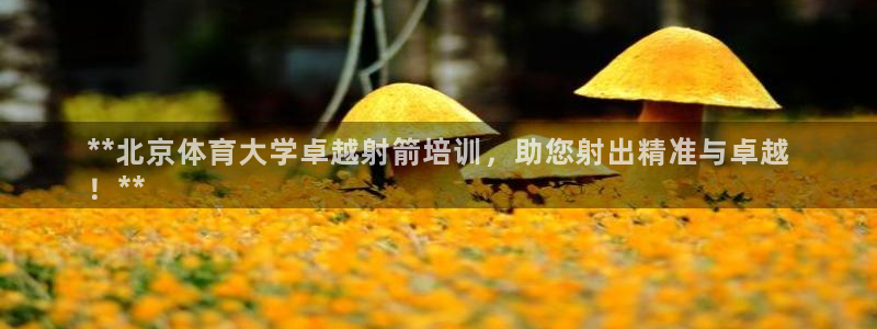耀世平台总代理：**北京体育大学卓越射箭培训，助您射