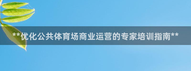 耀世娱乐代理什么待遇：**优化公共体育场商业运营的专
