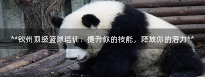 耀世平台无7O777：**钦州顶级篮球培训：提升你的