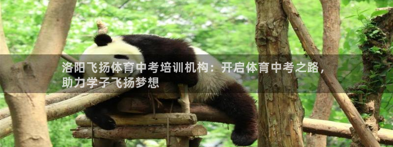 耀世平台代理怎么样：洛阳飞扬体育中考培训机构：开启体
