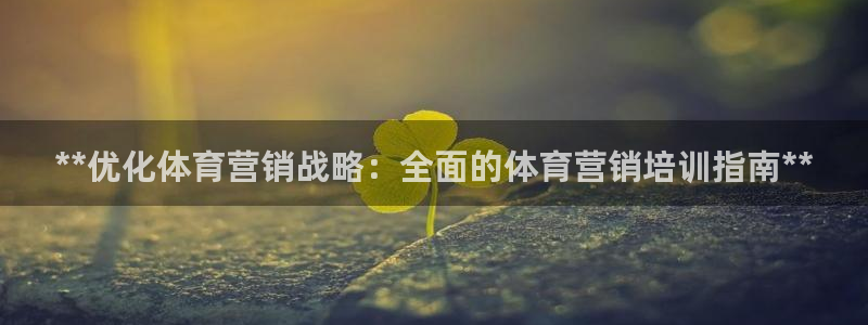 耀世璀璨：**优化体育营销战略：全面的体育营销培训指
