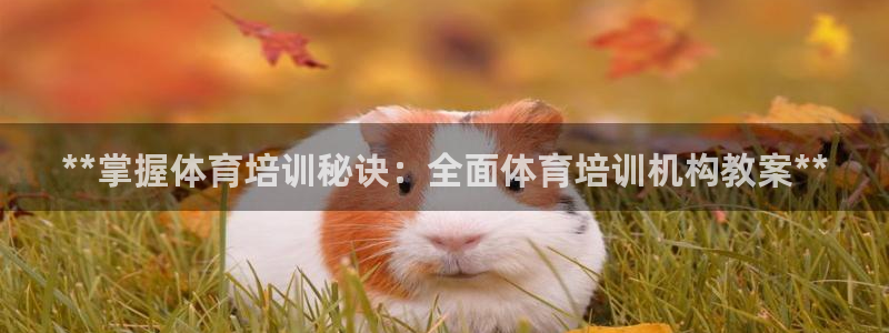 哪吒s耀世版价格：**掌握体育培训秘诀：全面体育培训