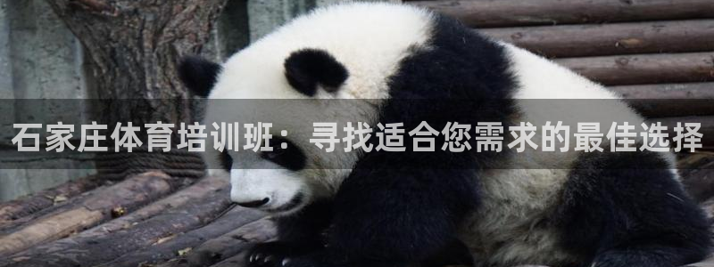 耀世娱乐登陆官网下载：石家庄体育培训班：寻找适合您需