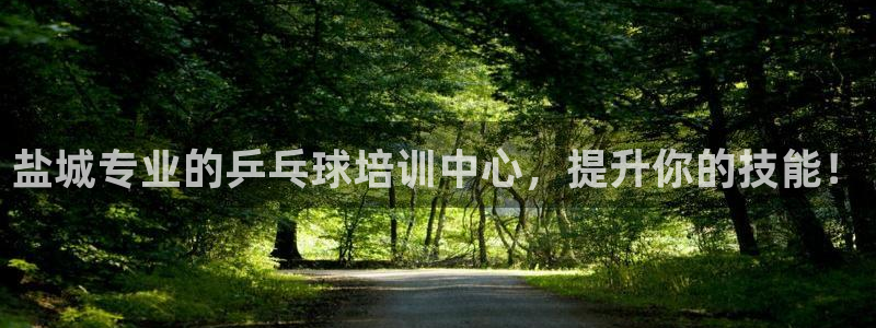 耀世天下的图片：盐城专业的乒乓球培训中心，提升你的技
