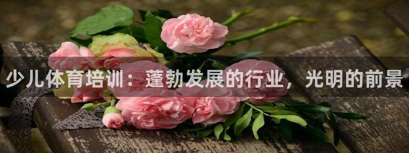 耀世娱乐挂机教程：少儿体育培训：蓬勃发展的行业，光明