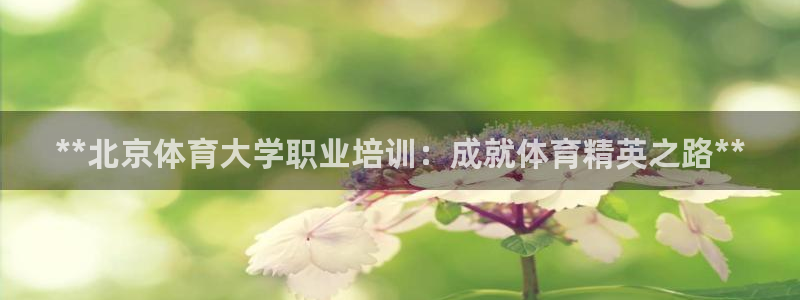 耀世登场的意思：**北京体育大学职业培训：成就体育精