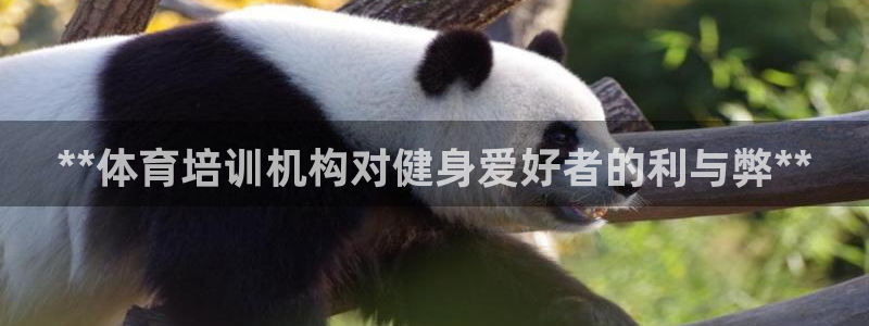 耀世娱乐网址是什么啊：**体育培训机构对健身爱好者的