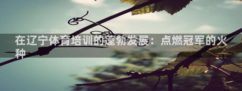 耀世娱乐注册登陆：在辽宁体育培训的蓬勃发展：点燃冠军