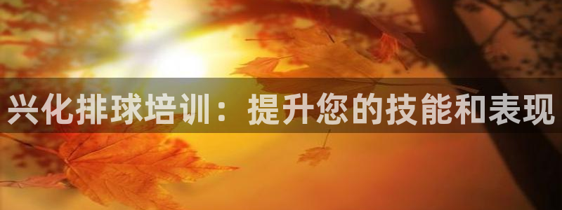 耀世启幕：兴化排球培训：提升您的技能和表现