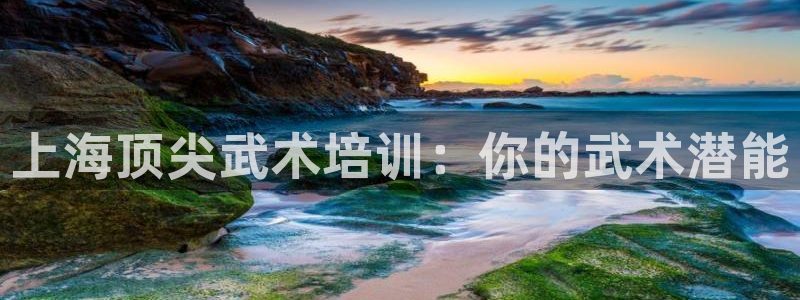 耀世娱乐登录注册流程：上海顶尖武术培训：你的武术潜能
