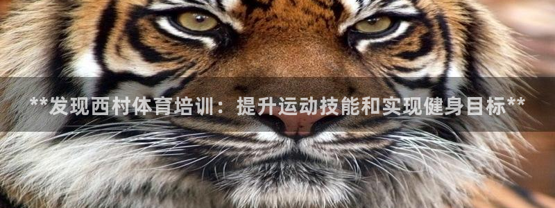 耀世娱乐含山县：**发现西村体育培训：提升运动技能和