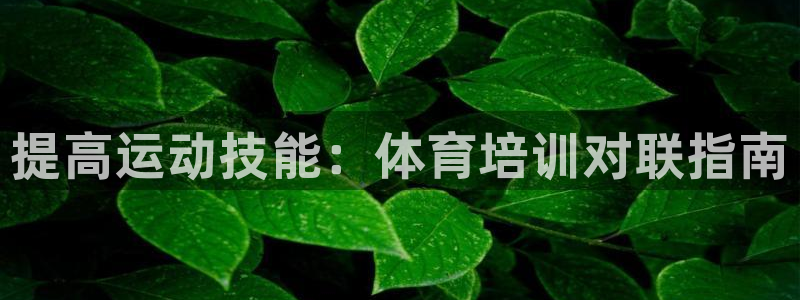 耀世平台登录地址在哪：提高运动技能：体育培训对联指南
