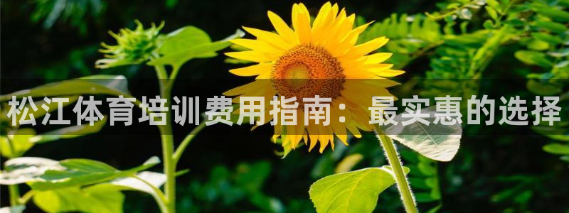 耀世盛典官网入口：松江体育培训费用指南：最实惠的选择