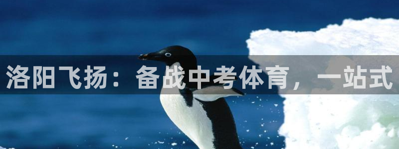 耀世平台地址：洛阳飞扬：备战中考体育，一站式