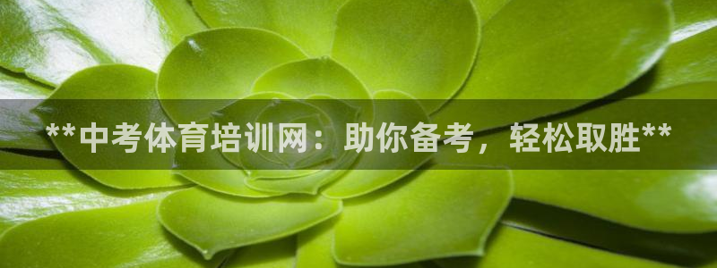 耀世登场之类的广告词：**中考体育培训网：助你备考，