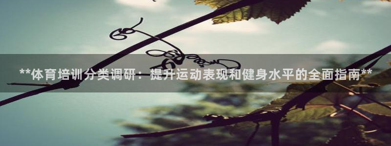 耀世娱乐平台注册地址：**体育培训分类调研：提升运动