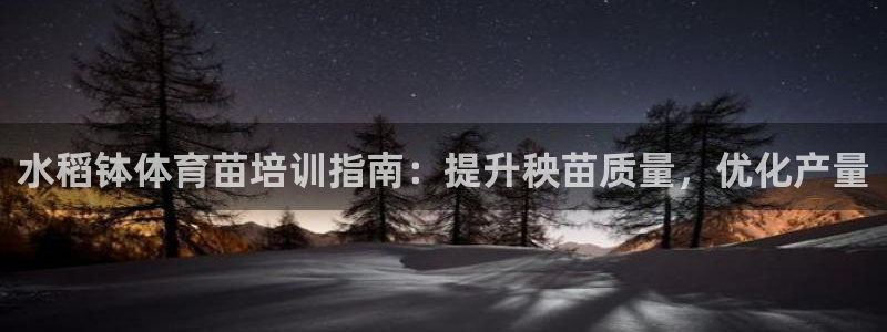 耀世娱乐是正规还是仿真：水稻钵体育苗培训指南：提升秧