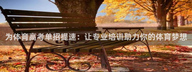 耀世集团王大聪：为体育高考单招提速：让专业培训助力你
