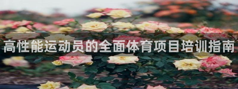 耀世娱乐平台官网登录不了怎么回事：高性能运动员的全面
