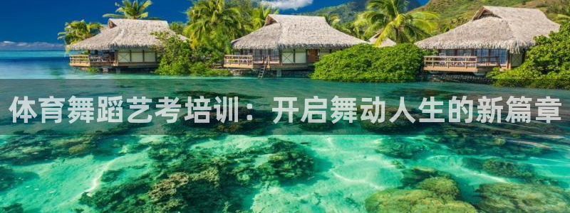 耀世娱乐辅助软件下载安装：体育舞蹈艺考培训：开启舞动