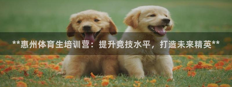 耀世平台客服24小时在线咨询电话：**惠州体育生培训